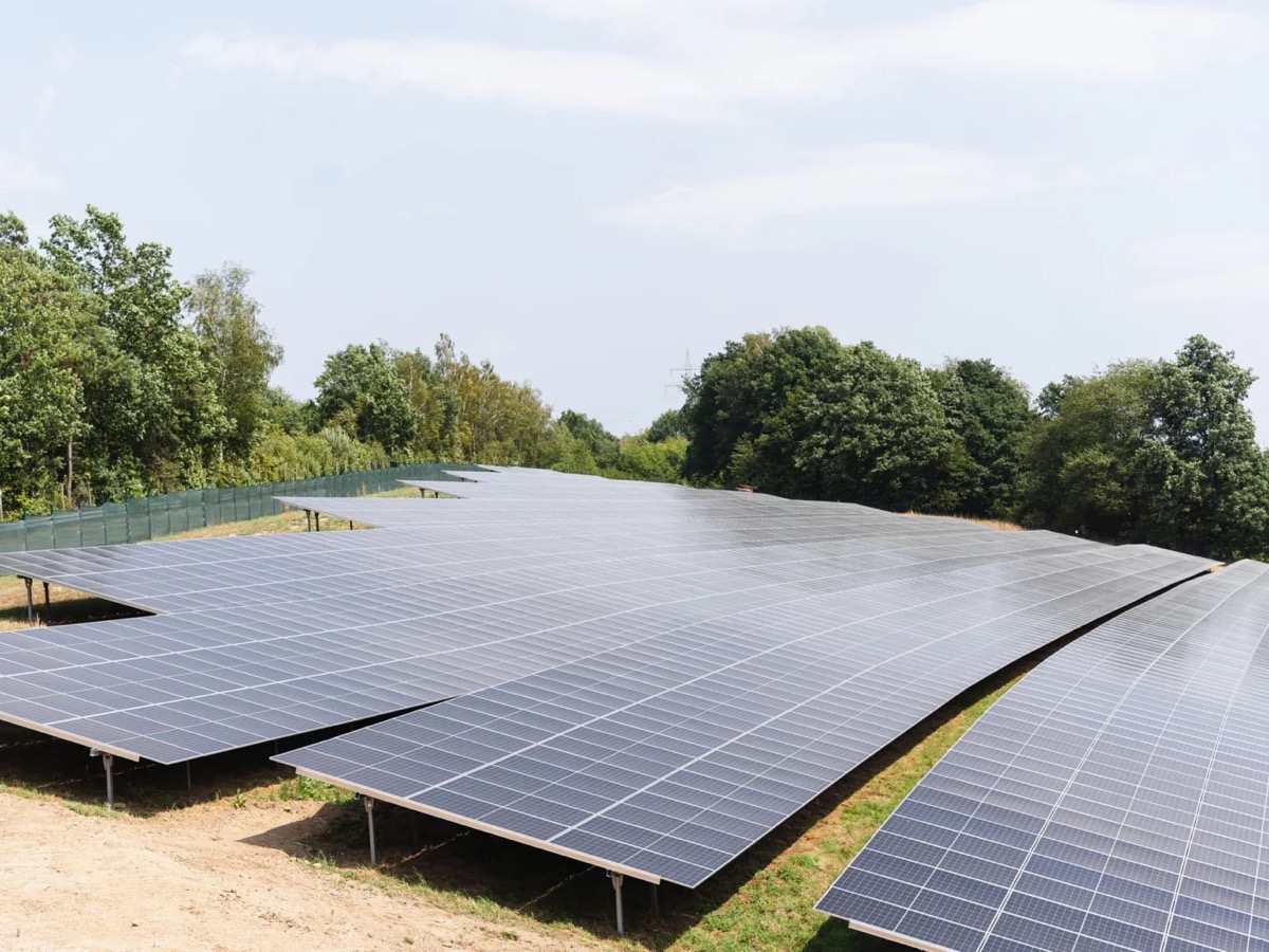Reihen von Photovoltaikmodulen auf der Freifläche des Solarparks, dahinter Bäume